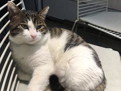 -UNIUNI(凯瑟琳广场店)