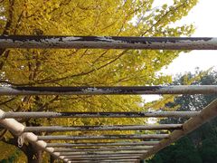 -辽宁大学(崇山校区)