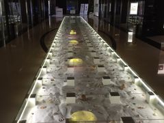 -青岛贝壳博物馆