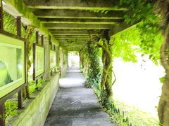 -庐山风景区花径公园