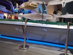 -贝林大翅鲸简餐厅(国家海洋博物馆店)