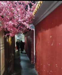 -盘子女人坊生日照·摄影馆(华强店)