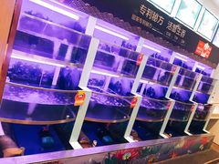 水产区-七欣天(浦东羽山乐坊店)