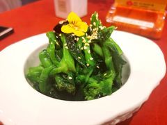 油菜苔-赵小姐丨新中餐(曲江店)