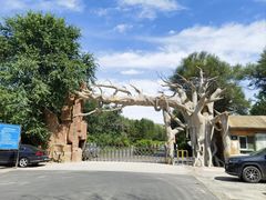 -红山国家森林公园