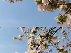 -济南国际园博园