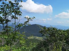 -白草畔自然风景区