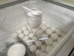 -洪馨椰子