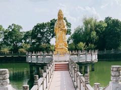 -报恩禅寺