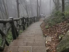 -梧桐山风景名胜区