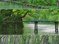 -西溪南古村落景区