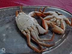 -棠记海鲜餐厅(南朗镇店)