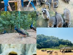 -杭州野生动物世界