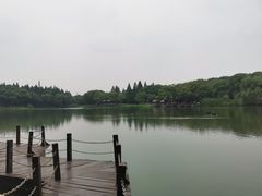 -新洲生态园