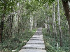 -南京金牛湖风景区