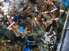 -盒马鲜生(馥邦国际店)