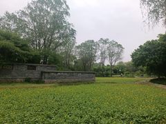 -北坞公园