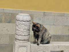 -西园戒幢律寺