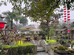 -青城甲(青城山店)