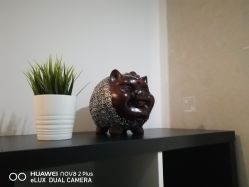 -榕树上·瑜伽普拉提