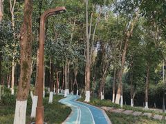-重庆彩云湖湿地公园