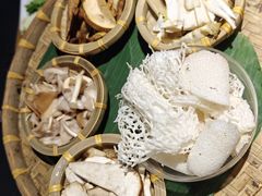 -菌彩云南野生菌火锅(呈贡七彩云南第壹城店)