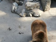 -保定市动物园
