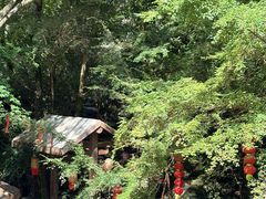 -刘伯温故里景区百丈漈