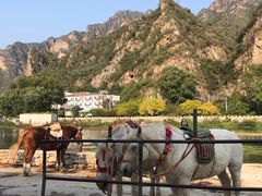 -野三坡清泉山风景区