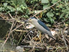 -桤木河湿地公园