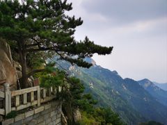 -泰山风景名胜区