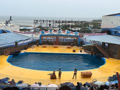 -海合安青岛极地海洋公园
