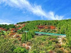 -博山九龙峪风景区