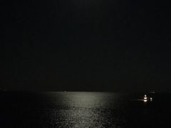 -广东惠东海龟国家级自然保护区