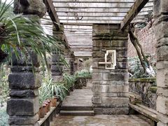 -南山植物园