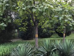 -望湖公园