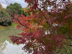 -上海海湾国家森林公园