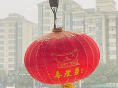 -春发芽葫芦头(科技二路旗舰店)