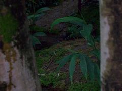 -成都市活水公园