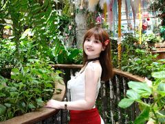 -正佳雨林生态植物园