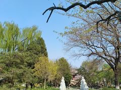 -宣武艺园