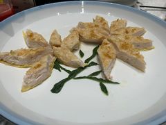-丁老爷子苏香圆