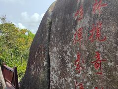 -亚龙湾热带天堂森林公园
