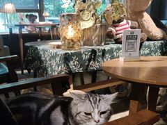 -咖法森林·咖啡  酒吧(天河店)