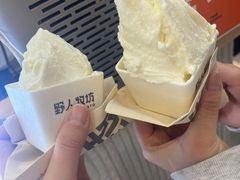 -野人先生现做冰淇淋(西安赛格店)