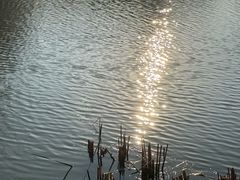 -梁鸿国家湿地公园