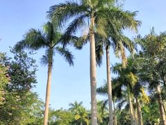 -广州雕塑公园