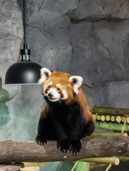 点击看大图 -Zoolung Zoolung动物主题公园(海信广场店)