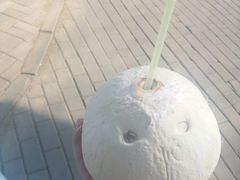 -朝阳公园游乐园