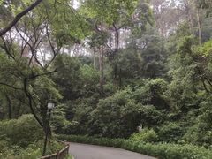 -三门江国家森林公园